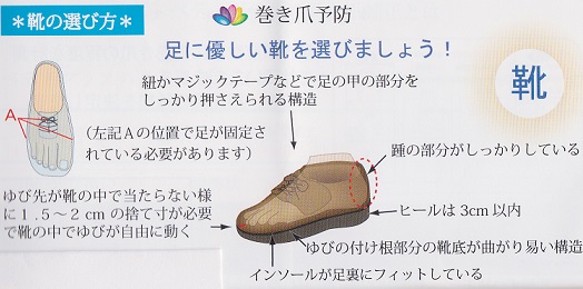 正しい靴の選び方　１１．１７－２.jpg